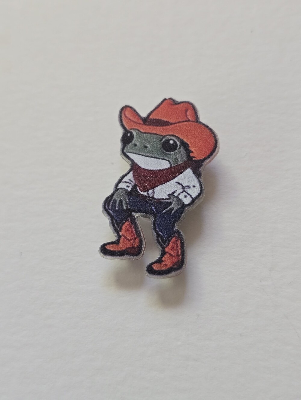 Cowboy Frog Pin